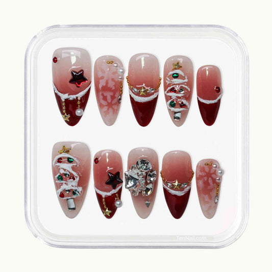 Set of Christmas-themed nail art designs in a clear plastic case.